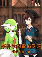 某科学的霍格沃茨 某科学的霍格沃茨