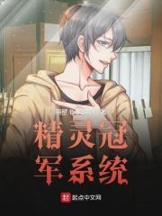 精灵冠军系统 精灵冠军系统