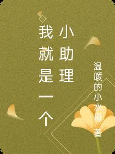 我就是一个小助理 我就是一个小助理