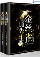 顾先生的金丝雀 顾先生的金丝雀